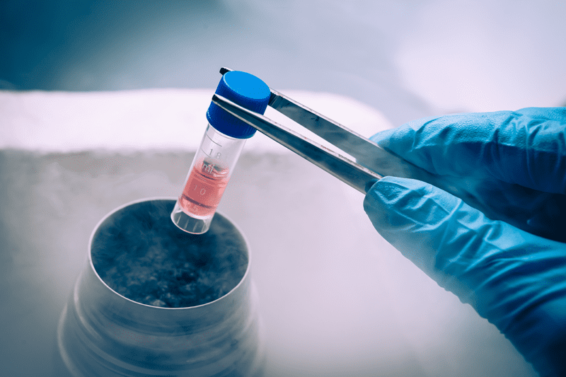 Cryopreservation will help infertile women to feel the pleasure of motherhood