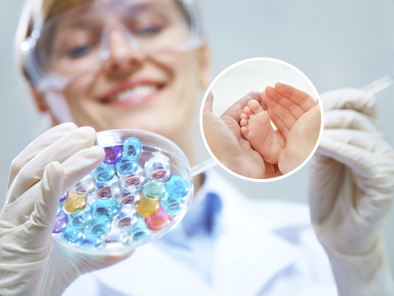 Einnistung des Embryos: Fristen, Anzeichen, Verlauf bei der IVF