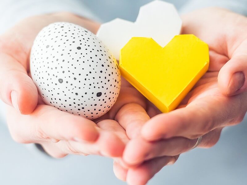 IVF und die Eizellspenderin