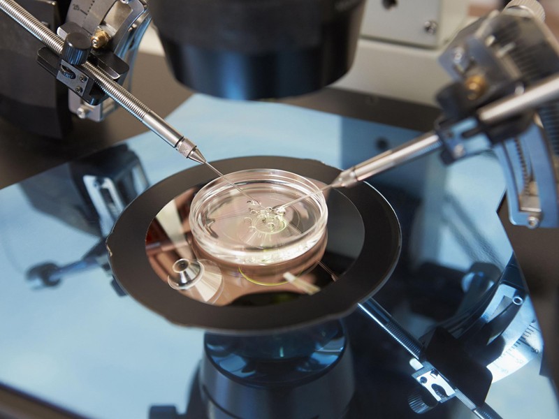 El tratamiento de la infertilidad con ayuda del nuevo metodo Augment ha mostrado muy Buenos resultados