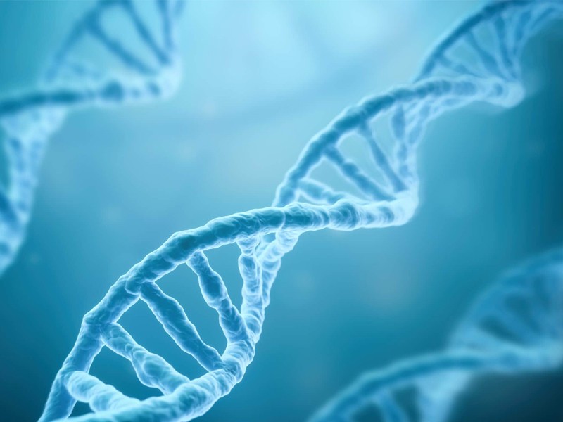 La hibridación genómica comparada (CGH) en el diagnóstico genético preimplantacional