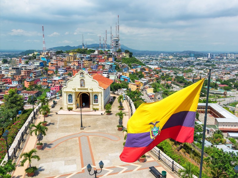 La maternidad subrogada en Ecuador