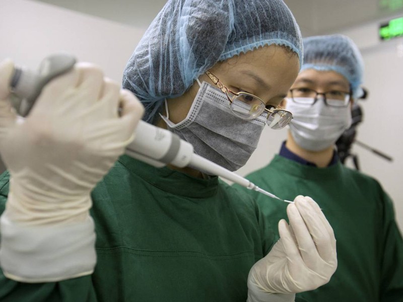 La modificación genética de los embriones humanos en Japón